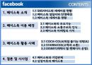 미국 기업의 페이스북 마케팅, SNS서비스,페이스북 마케팅,페이스북과 기업,페이스북 소통구조,브랜드마케팅,서비스마케팅,글로벌경영,사례분석,swot,stp,4p 2페이지