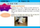 성격의 이해,성격 이론, 적응과 적응 기제,부적응과 스트레스,성격 이론,적응과 기제,부적응과 스트레스,스트레스 예방 52페이지
