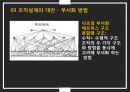 조직구조, 조직구조 설계의 응용, 조직구조의 형태,공식적보고체계,조직구조에 대한 정보처리,조직설계의 대안 14페이지