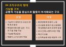 조직구조, 조직구조 설계의 응용, 조직구조의 형태,공식적보고체계,조직구조에 대한 정보처리,조직설계의 대안 18페이지