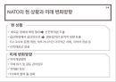 지역주의와 지역 국제기구, 국제기구의 이해,지역통합이론,EU-유럽연합,NATO-북대서양조약기구,NATO의 군사전략 변천사,OPEC _ 석유수출국기구 31페이지