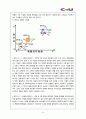 편의점 CU 경영전략과 마케팅전략분석및 CU 기업분석과 CU 전략평가및 CU 미래전략전망 레포트 16페이지