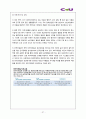 편의점 CU 경영전략과 마케팅전략분석및 CU 기업분석과 CU 전략평가및 CU 미래전략전망 레포트 29페이지
