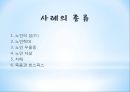 노인과의 의사소통 42페이지
