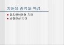 치매성 노인의 케어(치매이해, 치매노인심리, 치매노인케어) PPT, 파워포인트 3페이지