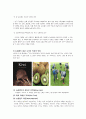 [국제 기업 환경론] 뉴질랜드에 대하여  4페이지