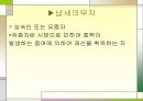 상속세 & 증여 PPT  4페이지