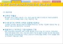 광주 광산업 클러스터 PPT  30페이지
