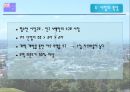 [국제 기업 환경론] 뉴질랜드에 대하여 PPT 13페이지