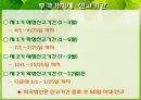 부가가치세  8페이지