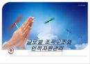 글로벌 조직구조와 인적자원관리 PPT  2페이지