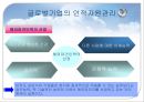 글로벌 조직구조와 인적자원관리 PPT  37페이지
