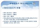 글로벌 조직구조와 인적자원관리 PPT  44페이지