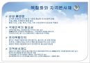 글로벌 조직구조와 인적자원관리 PPT  48페이지