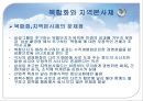 글로벌 조직구조와 인적자원관리 PPT  49페이지