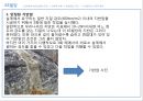 여의도 건축답사 20페이지