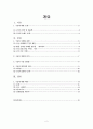 Google 마케팅 전략 [구글 소개] 2페이지
