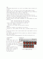 [식품 재료학] Report 소고기에 대한 자료 : 각 선택한 식품재료에 대하여 모양, 성분, 수확과 저장, 용도(제품, 원료)등에 대하여 조사하여 제출하세요.
 4페이지
