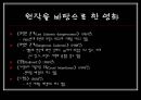 영화의상 분석 - 『스캔들 (Scandal)』, 『위험한 관계』 (원작 소설 소개, 내용 비교, 시대적 배경 비교, 등장인물 비교, 의상 비교).ppt 5페이지
