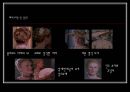 영화의상 분석 - 『스캔들 (Scandal)』, 『위험한 관계』 (원작 소설 소개, 내용 비교, 시대적 배경 비교, 등장인물 비교, 의상 비교).ppt 44페이지