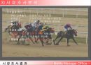 ㈜MaMa 사업계획서  16페이지