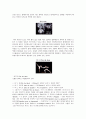 발레 [Ballet]  (발레의 어원, 발레의 정, 발레의 배경 및 역사, 우리나라의 발레, 발레의 용어, 발레의 기본동작, 발레 음악, 발레 대표적 작품) 12페이지