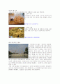 중국 도시 천진에 대하여  6페이지