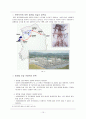 [환경사회학] 송전탑 건설에 따른 환경문제의 사회학적 분석 - 태백. 삼척 지역을 중심으로  10페이지