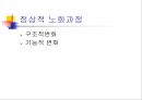 [노인간호] 심혈관계의 노화 (정상적 노화과정, 심혈관계질환, 치료단계, 심혈관질환에 대한 간호중재).ppt 2페이지