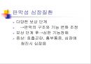 [노인간호] 심혈관계의 노화 (정상적 노화과정, 심혈관계질환, 치료단계, 심혈관질환에 대한 간호중재).ppt 20페이지