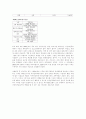 BSC(Balanced Score Card)를 통하여 노동부의 여성인력개발센터 평가(정책평가) 3페이지