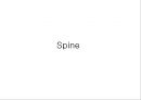방사선사 국가고시 일반촬영 정리 (일반 영상검사, 일반 촬영, Lower extremity, Hip & pelvis, Spine, Mamo 촬영, 일반촬영 모의고사).ppt 78페이지