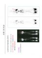 방사선사 국가고시 2차 핵의학 요약 정리집 73페이지