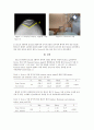무릎관절 전치환술(Total Knee Replacement Arthroplasty) 환자의 Patella Tangential View 검사에서 Device 사용의 유용성 4페이지