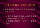 일반주주 관련문제와 기업민주주의 실현  14페이지