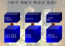 한국 재벌의 지배구조  12페이지