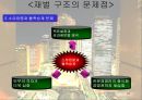 한국 재벌의 지배구조  18페이지