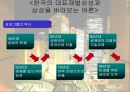 한국 재벌의 지배구조  24페이지