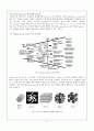 [무기분석실험] 04.MCM-41 합성 및 분석 (예비) : 메조포러스 물질(Mesoporous Material)중 하나인, MCM-41을 합성하고 분석기기를 이용하여 구조를 분석한다 2페이지
