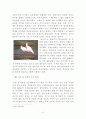 [교양] 환경을 어떻게 보전 할 것인가 - 야생동식물의보호 6페이지