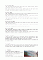 용인 굿네이버스 방문 보고서  13페이지