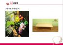 유아 연령별 수·과학 환경구성 - 실내영역 0세~5세 & 실외 환경.pptx 9페이지