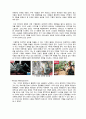 [경영학특강 – 디자인경영 Report] 디젤의 디자인 경영자 ‘렌조 로소 (Renzo Rosso)’ 3페이지