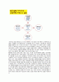 [경영정보시스템] 카카오월렛 - 마이클포터의 경쟁세력모형을 통해 분석 (BANK WALLET KAKAO / 뱅크월렛카카오) 8페이지