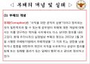 경찰감찰제도와 기능강화 방안  9페이지
