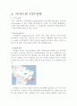 버블티전문점 아마스빈 기업분석과 브라질진출 전략분석과 아마스빈 마케팅 STP,4P전략분석 레포트 17페이지