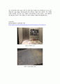 동국대 역사 교양강의 과제물 - 대한민국역사박물관 탐방기 3페이지