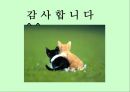브레튼우즈 체제와 IMF의 역활 (국제 통화제도의 의의와 목적 및 기능, 변천과정) 31페이지