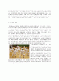 여가트랜드 분석 - 노인여가의 과거 현재 미래  12페이지