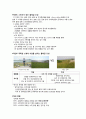 걷기열풍 트렌드 분석 - 걷는 관광  7페이지